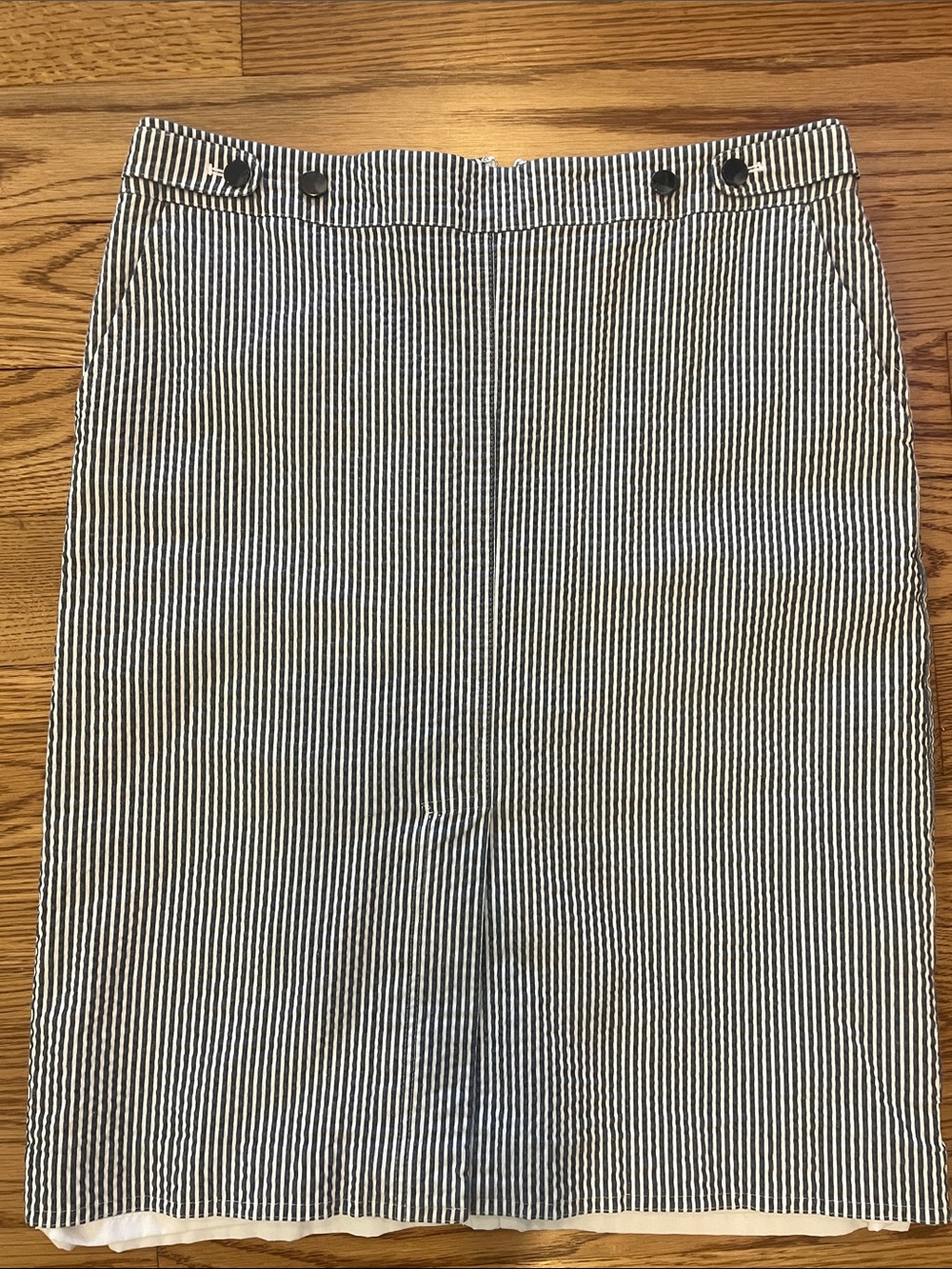 Striped Blue and White Pencil Skirt